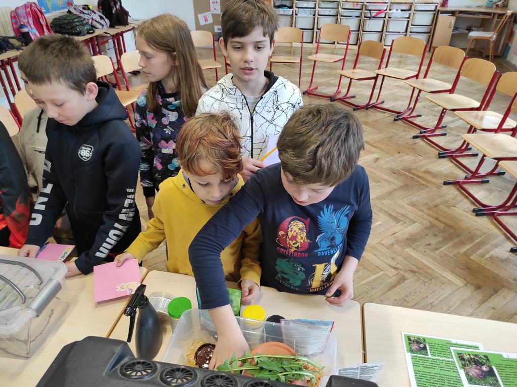 Projekt Máme rádi zvířata, 25. 3. 2024