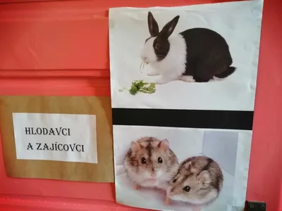Projekt Máme rádi zvířata, 25. 3. 2024