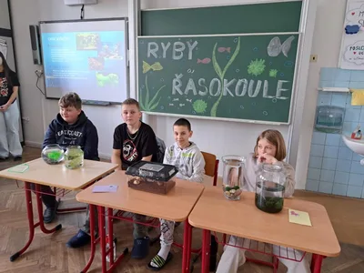 Projekt Máme rádi zvířata, 25. 3. 2024