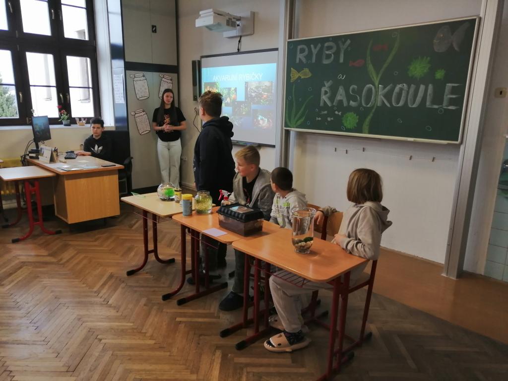 Projekt Máme rádi zvířata, 25. 3. 2024