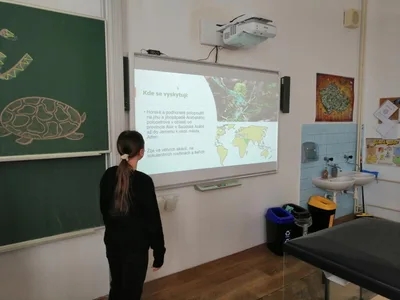 Projekt Máme rádi zvířata, 25. 3. 2024