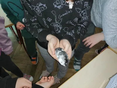 Projekt Máme rádi zvířata, 25. 3. 2024