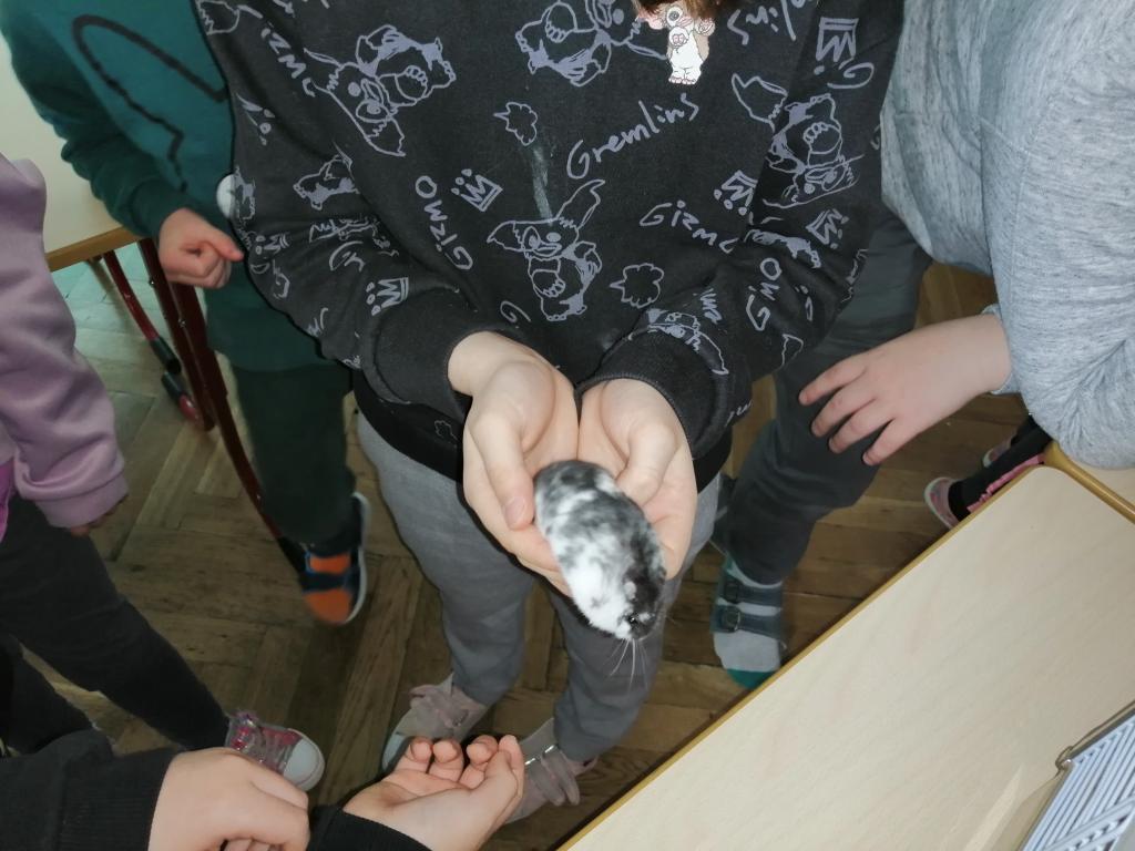 Projekt Máme rádi zvířata, 25. 3. 2024