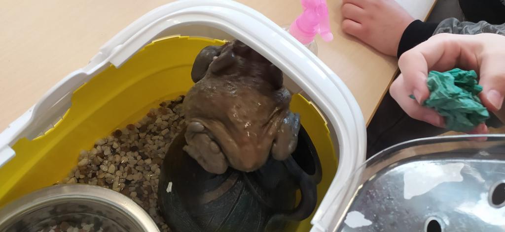 Projekt Máme rádi zvířata, 25. 3. 2024