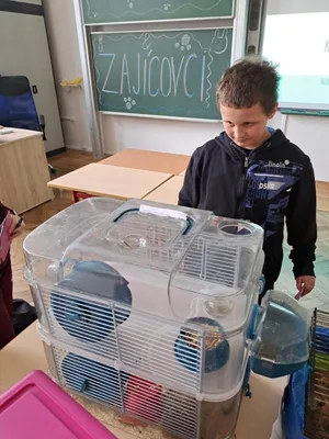 Projekt Máme rádi zvířata, 25. 3. 2024