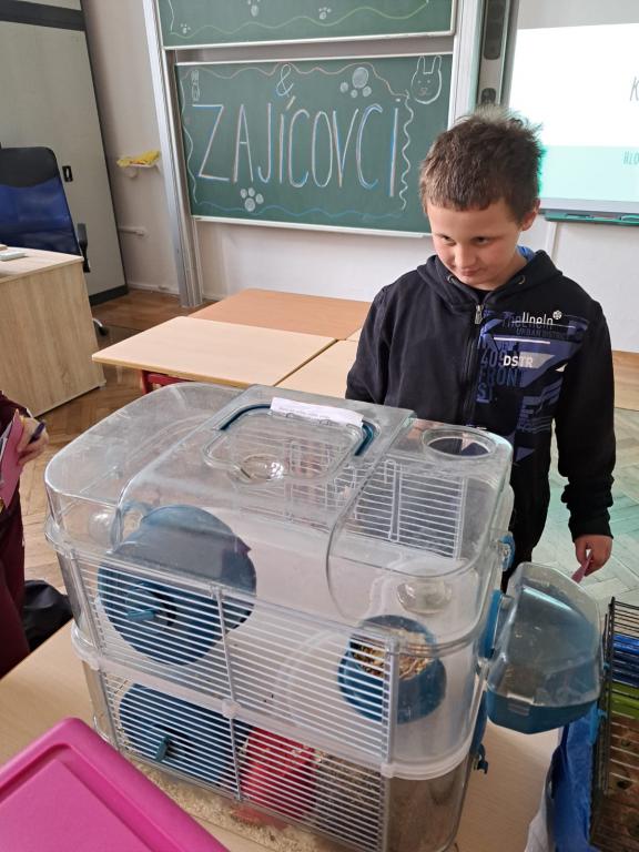 Projekt Máme rádi zvířata, 25. 3. 2024
