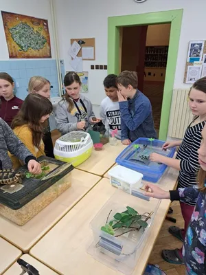 Projekt Máme rádi zvířata, 25. 3. 2024