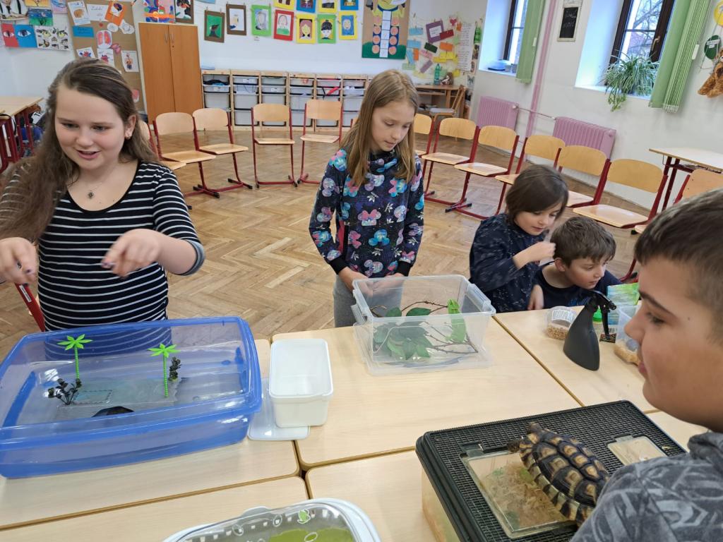Projekt Máme rádi zvířata, 25. 3. 2024
