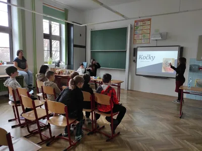 Projekt Máme rádi zvířata, 25. 3. 2024