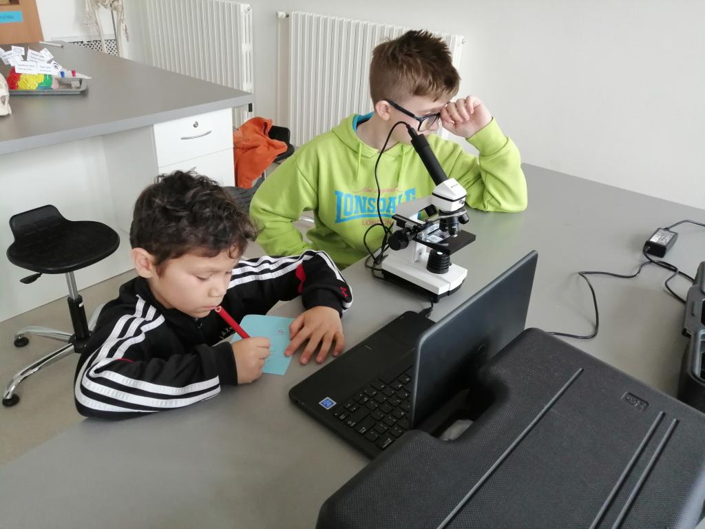Projekt Máme rádi zvířata, 25. 3. 2024