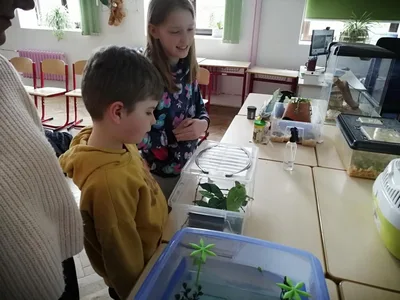 Projekt Máme rádi zvířata, 25. 3. 2024
