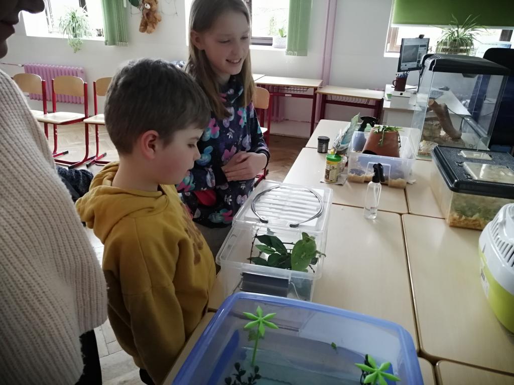 Projekt Máme rádi zvířata, 25. 3. 2024