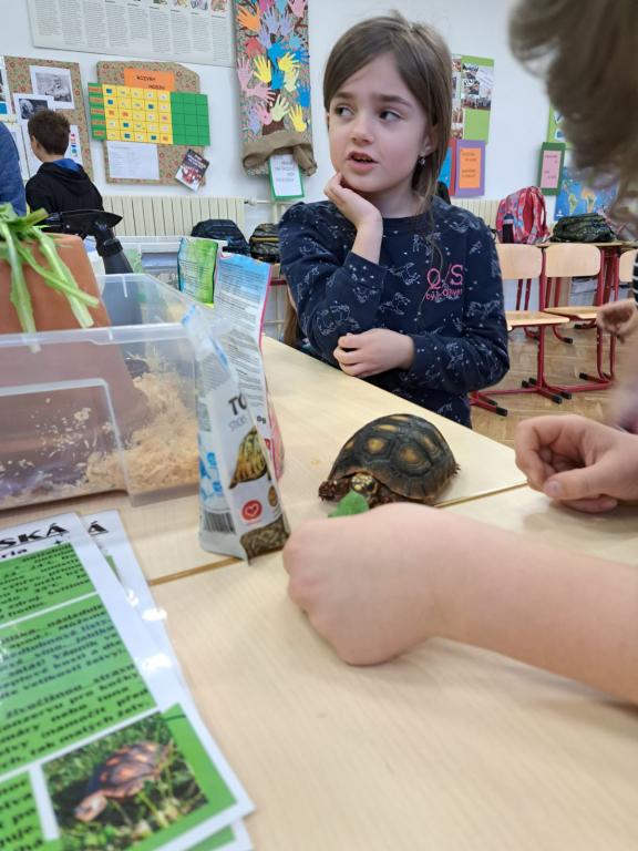 Projekt Máme rádi zvířata, 25. 3. 2024