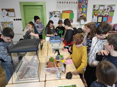 Projekt Máme rádi zvířata, 25. 3. 2024