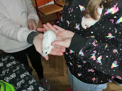 Projekt Máme rádi zvířata, 25. 3. 2024