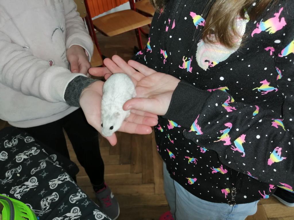 Projekt Máme rádi zvířata, 25. 3. 2024