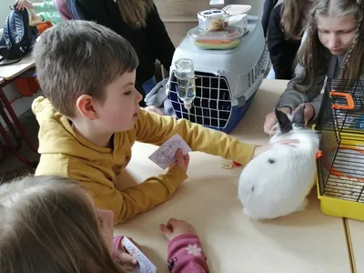 Projekt Máme rádi zvířata, 25. 3. 2024