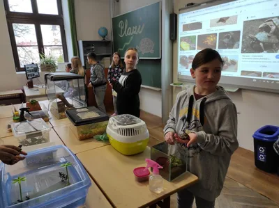 Projekt Máme rádi zvířata, 25. 3. 2024