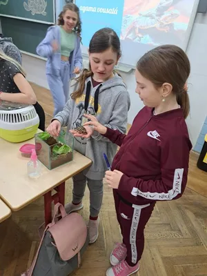 Projekt Máme rádi zvířata, 25. 3. 2024