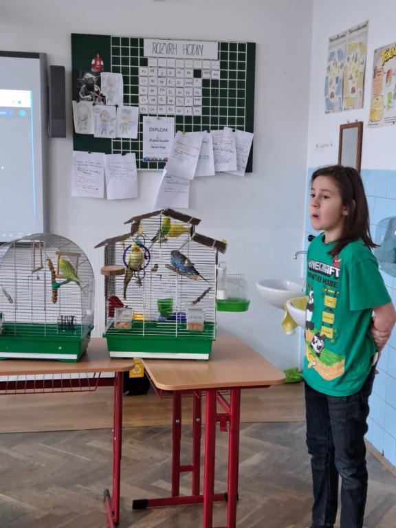 Projekt Máme rádi zvířata, 25. 3. 2024