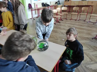 Projekt Máme rádi zvířata, 25. 3. 2024