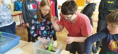 Projekt Máme rádi zvířata, 25. 3. 2024