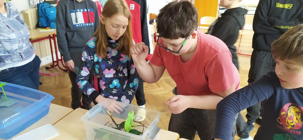 Projekt Máme rádi zvířata, 25. 3. 2024