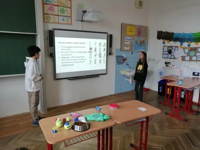 Projekt Máme rádi zvířata, 25. 3. 2024