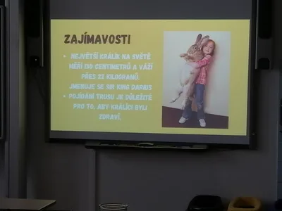 Projekt Máme rádi zvířata, 25. 3. 2024