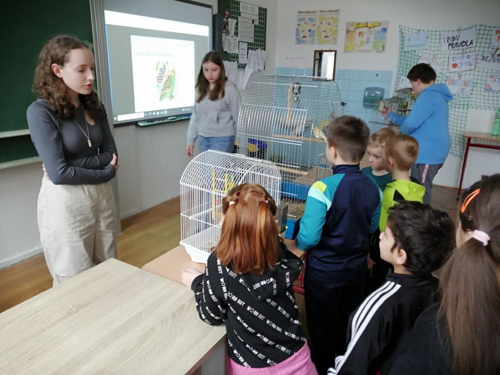 Projekt Máme rádi zvířata, 25. 3. 2024