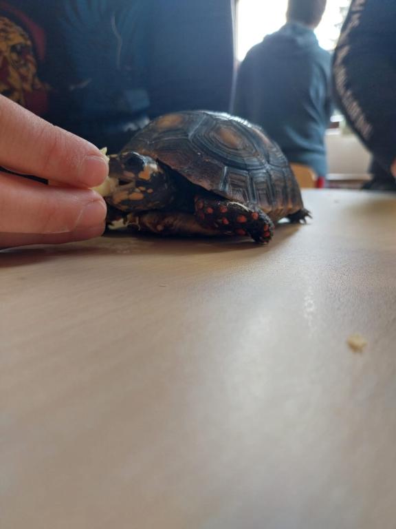 Projekt Máme rádi zvířata, 25. 3. 2024