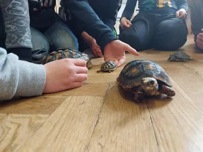 Projekt Máme rádi zvířata, 25. 3. 2024