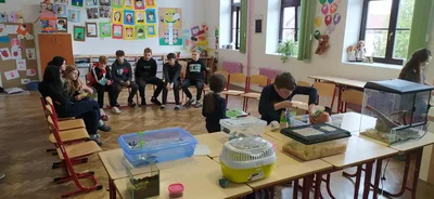 Projekt Máme rádi zvířata, 25. 3. 2024