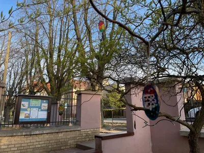 Vajíčkovník, 20. 3. 2024