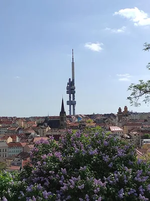 Exkurze Vojenské muzeum Žižkov Praha, 11. 4. 2024