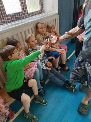 Beseda o exotických zvířatech, 24. 5. 2024