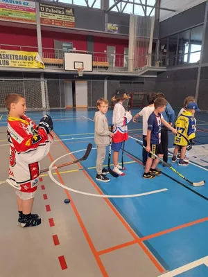 Den hokeje, 15. 5. 2024