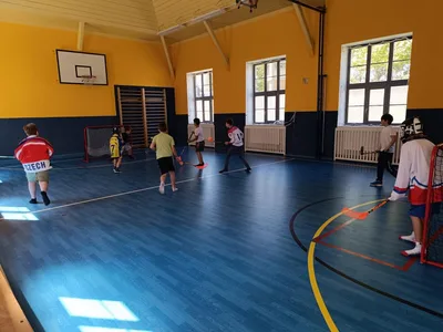 DEN HOKEJE - STŘEDA 15. KVĚTNA, 16. 5. 2024