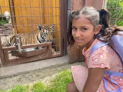 Chvojenec - ZOO kočkovitých šelem, Vys. Mýto - Muzeum karosářství, 17. 6. 2024