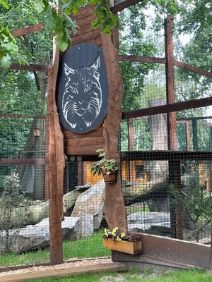 Chvojenec - ZOO kočkovitých šelem, Vys. Mýto - Muzeum karosářství, 17. 6. 2024