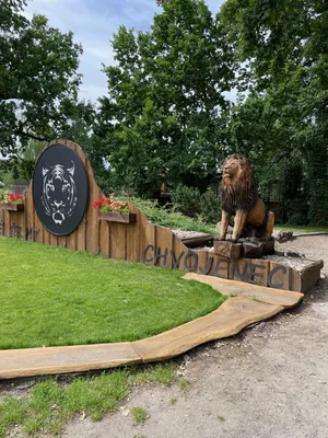 Chvojenec - ZOO kočkovitých šelem, Vys. Mýto - Muzeum karosářství, 17. 6. 2024