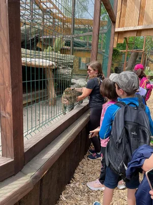 Chvojenec - ZOO kočkovitých šelem, Vys. Mýto - Muzeum karosářství, 17. 6. 2024