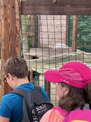 Chvojenec - ZOO kočkovitých šelem, Vys. Mýto - Muzeum karosářství, 17. 6. 2024