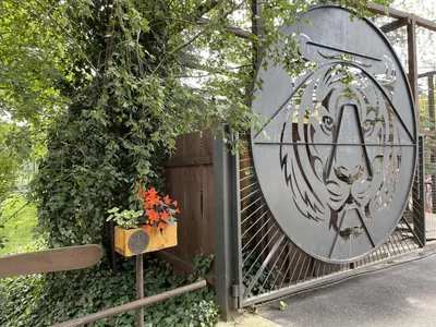 Chvojenec - ZOO kočkovitých šelem, Vys. Mýto - Muzeum karosářství, 17. 6. 2024