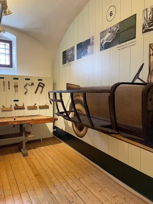 Chvojenec - ZOO kočkovitých šelem, Vys. Mýto - Muzeum karosářství, 17. 6. 2024