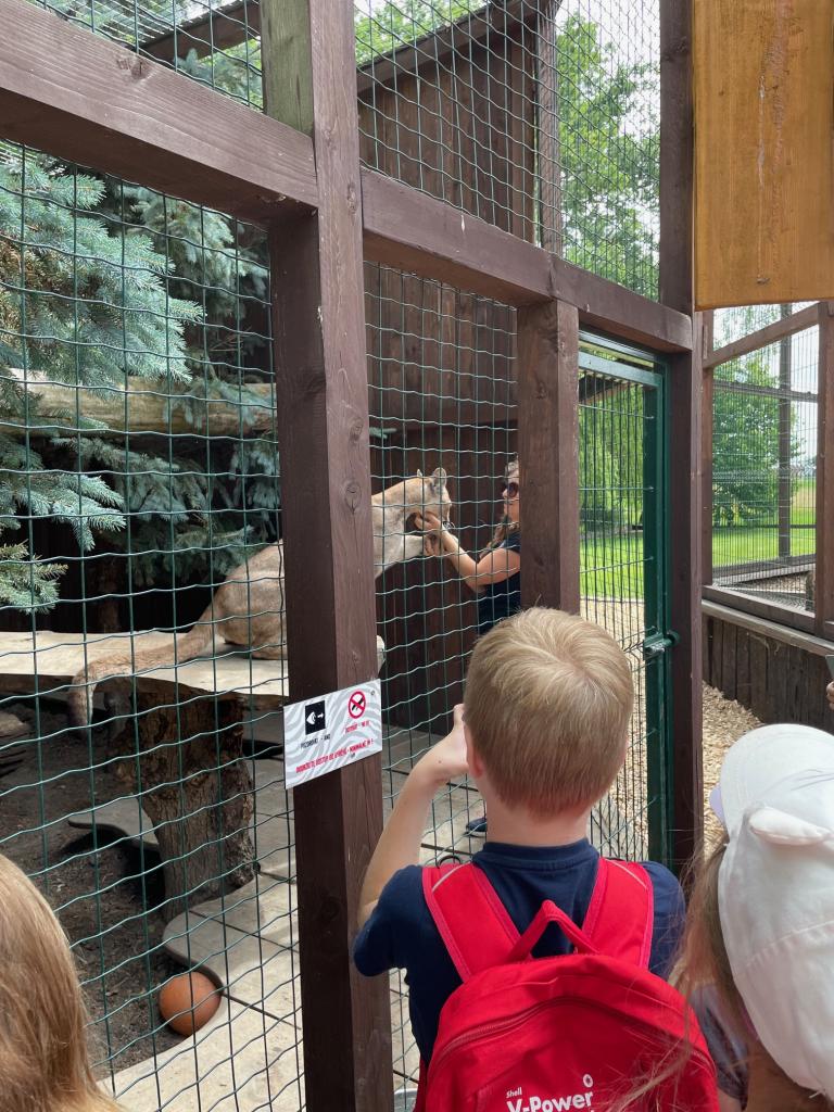 Chvojenec - ZOO kočkovitých šelem, Vys. Mýto - Muzeum karosářství, 17. 6. 2024