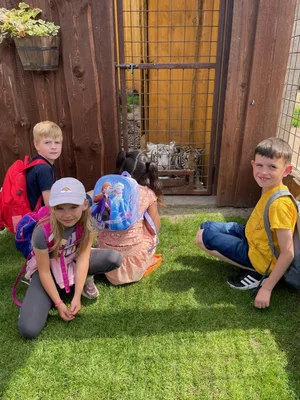 Chvojenec - ZOO kočkovitých šelem, Vys. Mýto - Muzeum karosářství, 17. 6. 2024