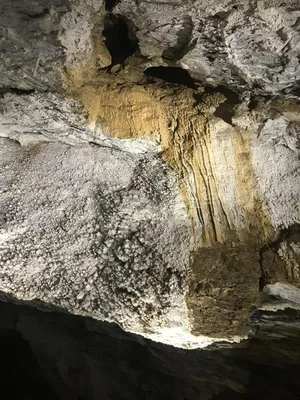 Poslední školní výlet se základkou, 18. 6. 2024