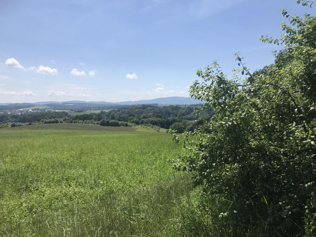 Poslední školní výlet se základkou, 18. 6. 2024