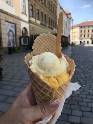 Poslední školní výlet se základkou, 18. 6. 2024